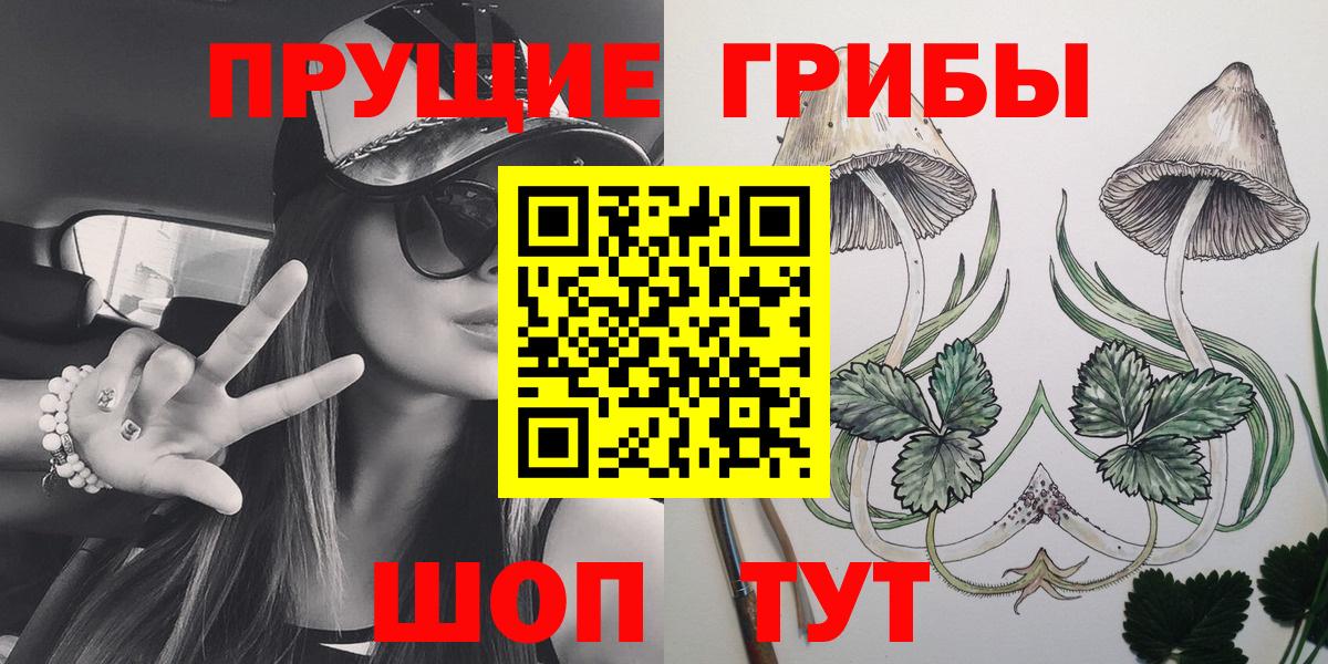 Гудермес  Псилоцибиновые грибы Magic Shrooms  Вход с VPN 
